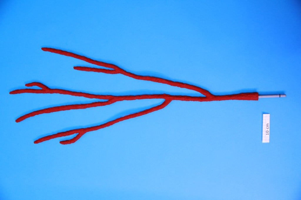 Artificial Ellisella. Ellisella