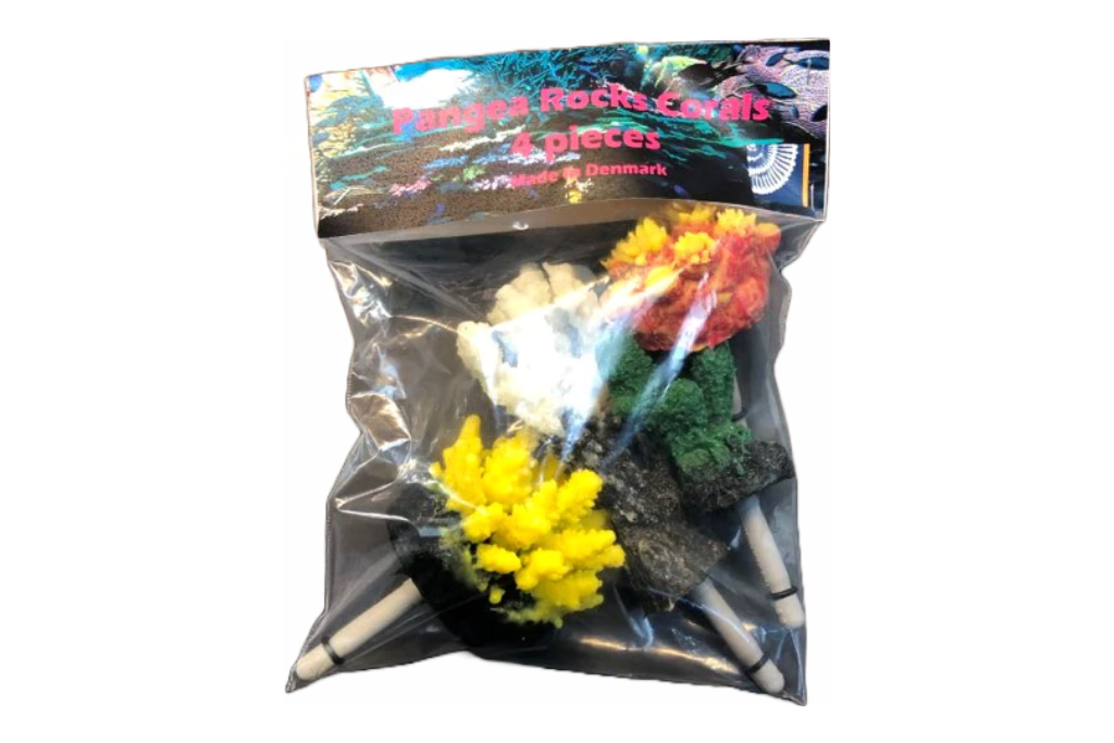 Bag of 4 mixed corals for aquarium