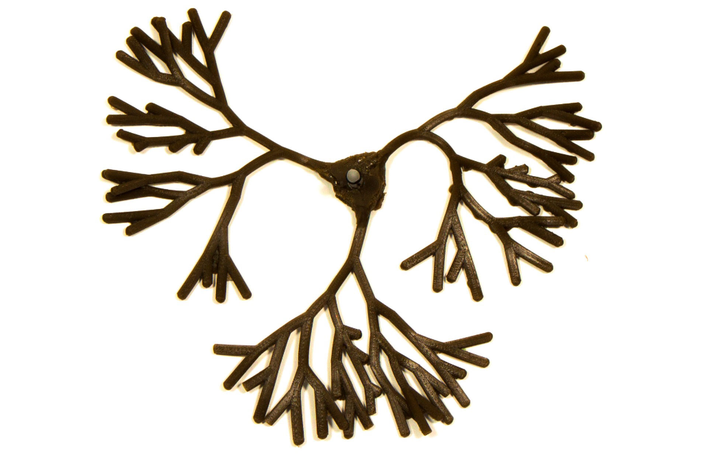 Artificial Green/Brown Codium Fragile