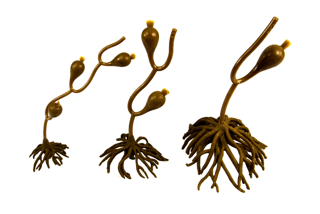 Artificial Giant Sea Kelp rock footing
