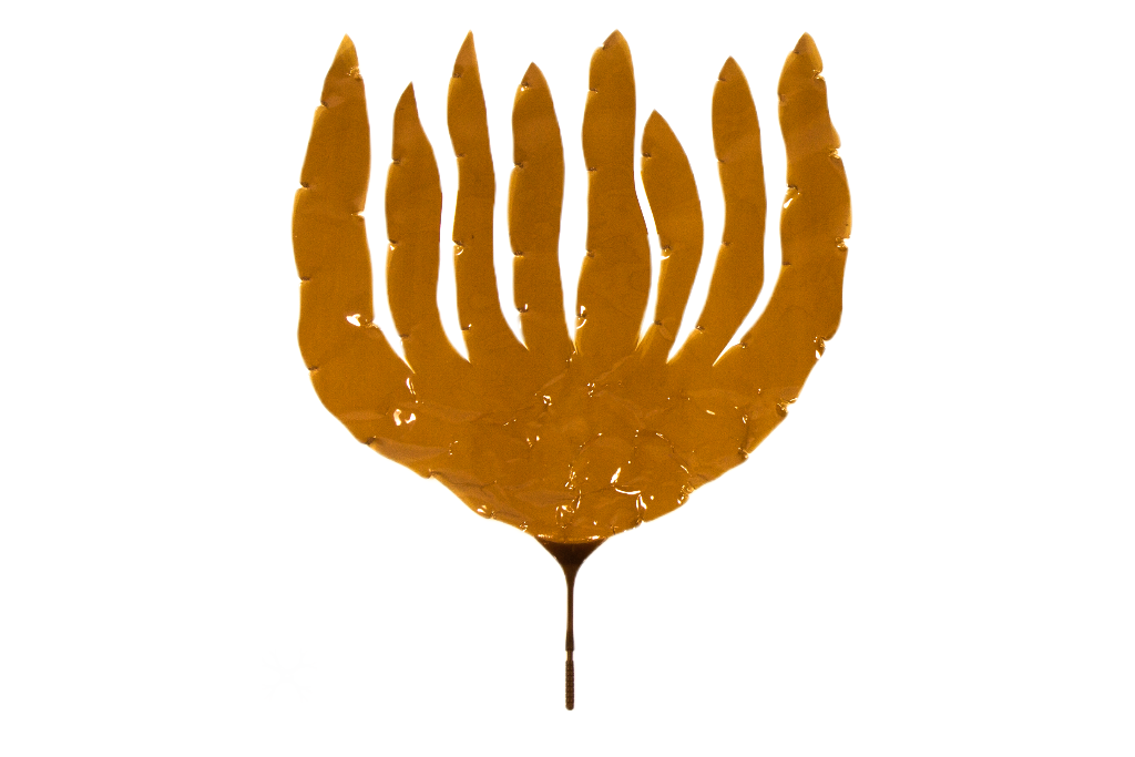 Artificial Medium Laminaria Digitata