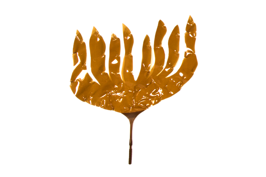 Artificial Small Laminaria Digitata