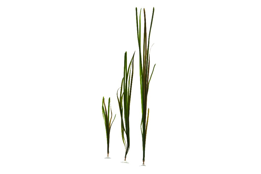 Artificial Vallisneria Natans