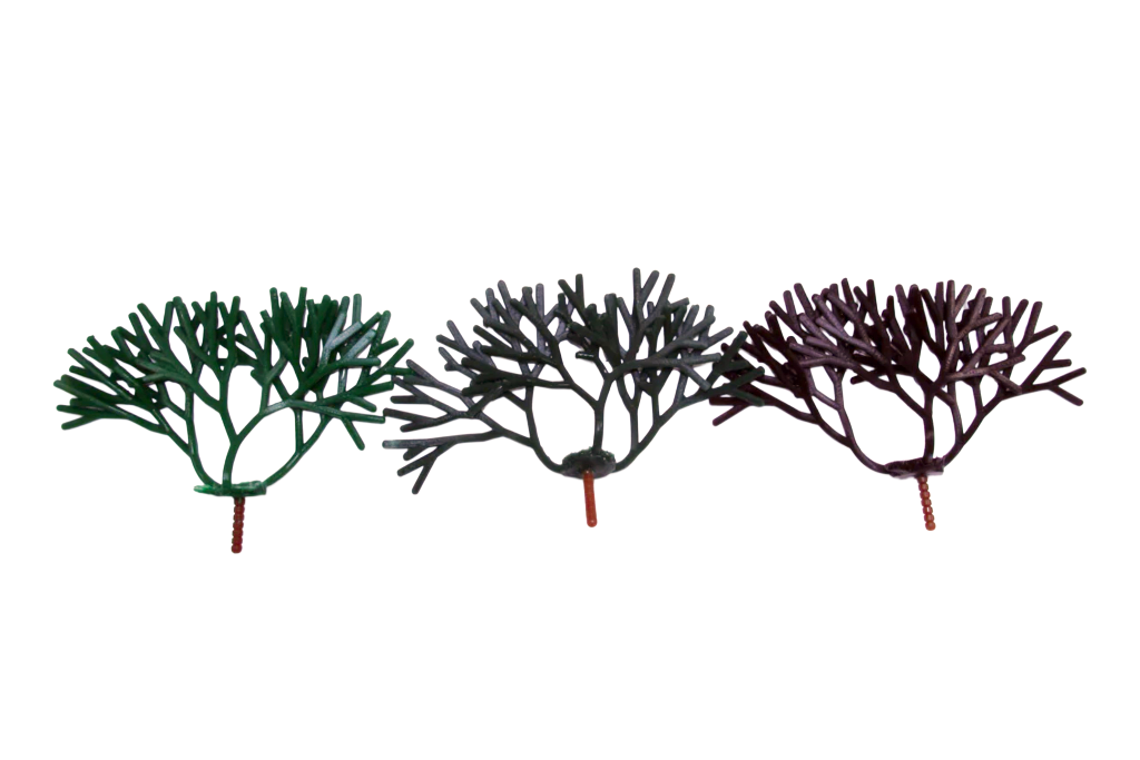 Codium Fragile