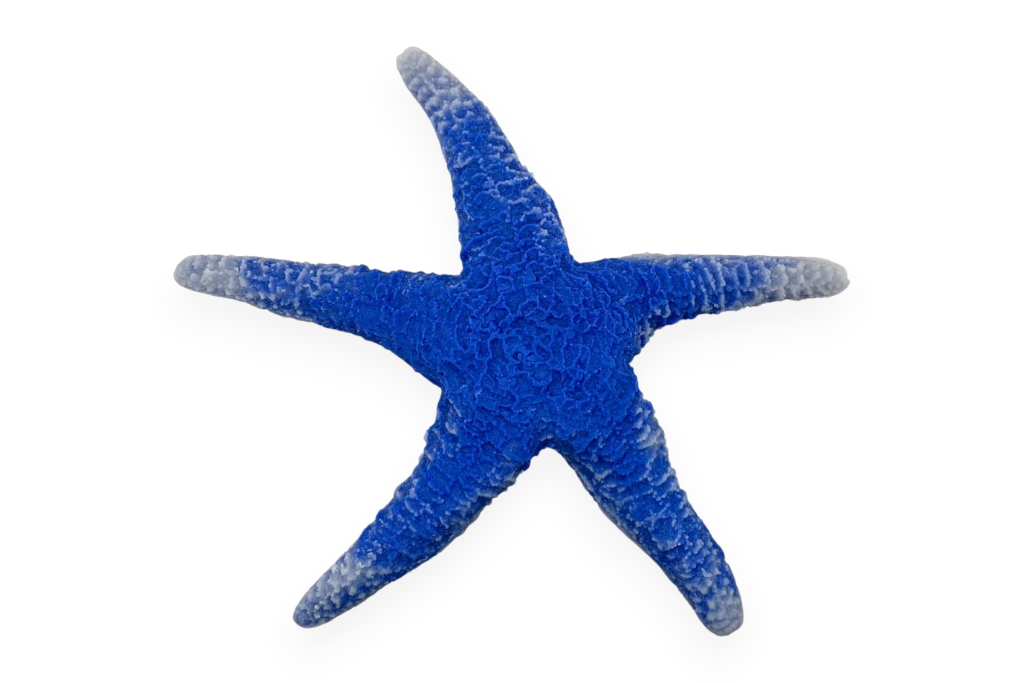 blue linckia sea star