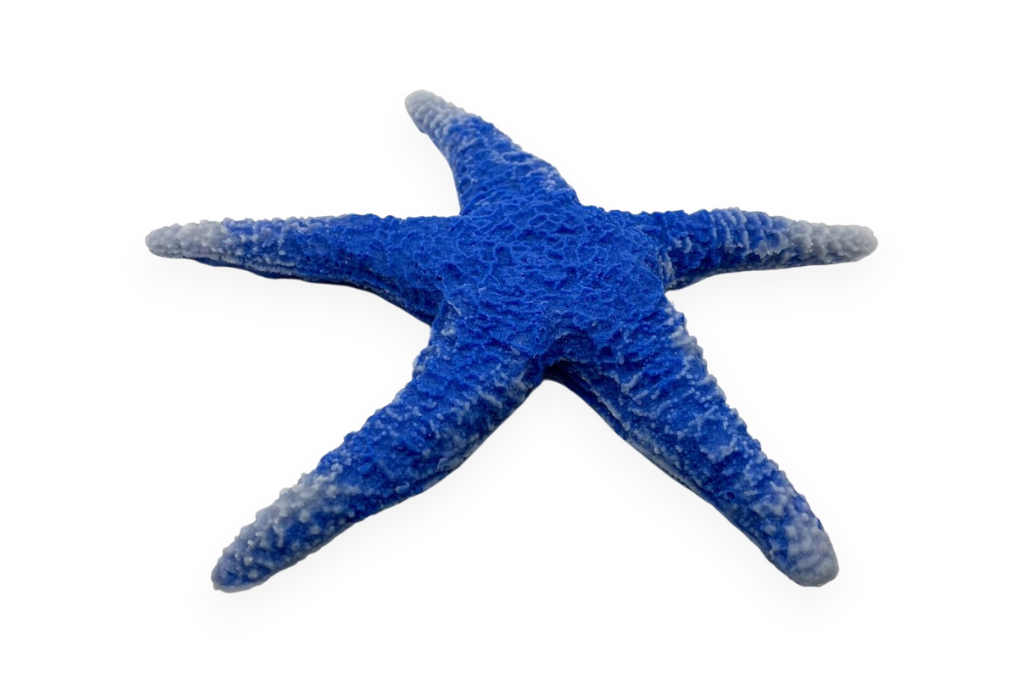 blue linckia sea star