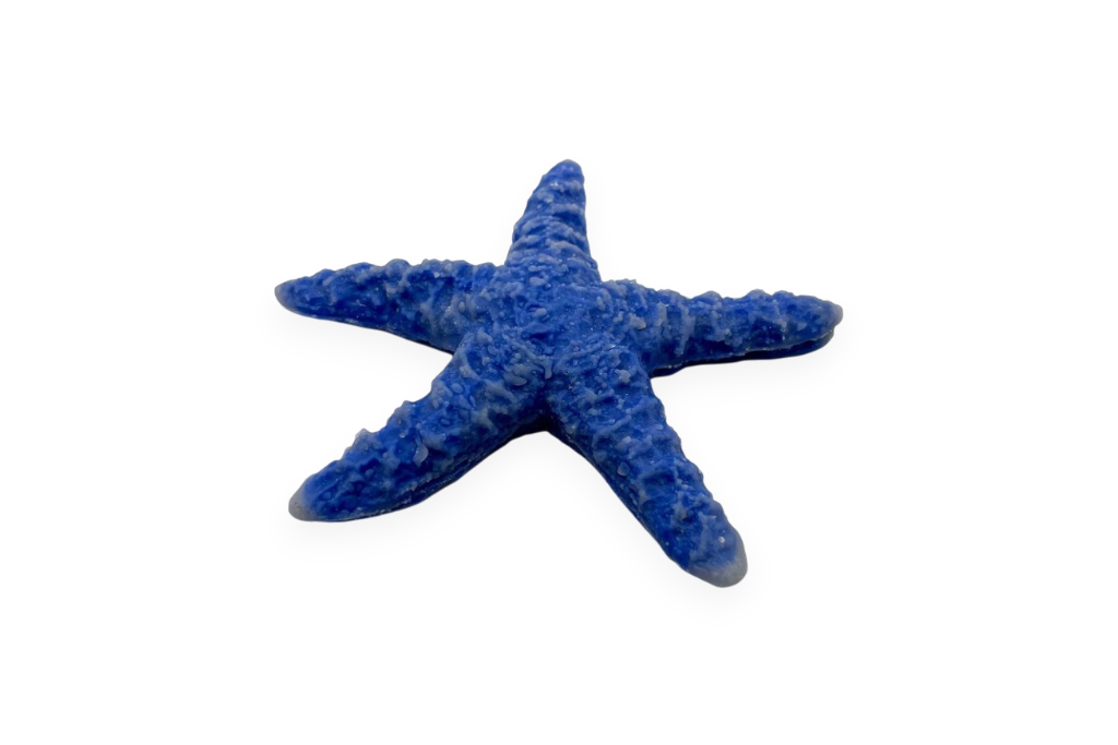 blue linckia sea star