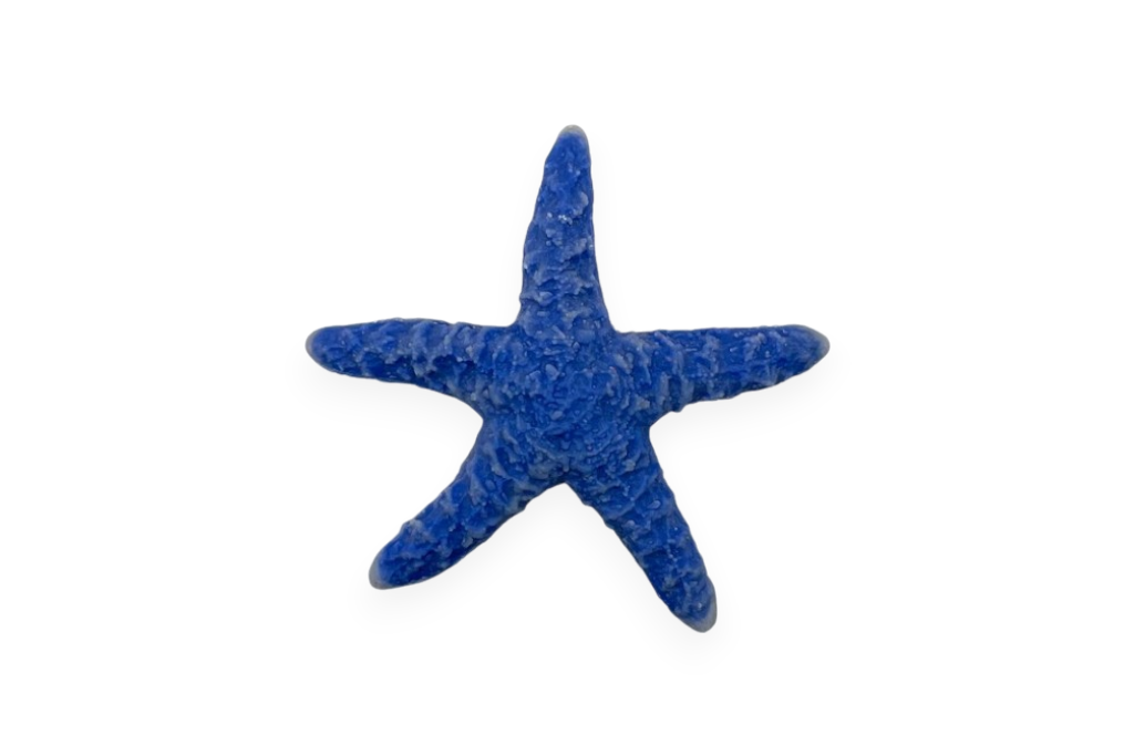 blue linckia sea star