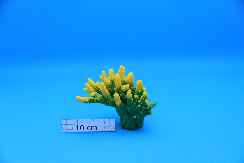 Artificial Acropora Gemmifera