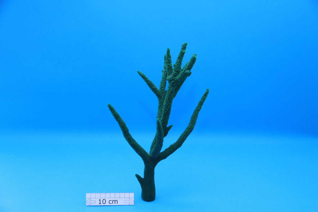 Artificial Acropora Formosa