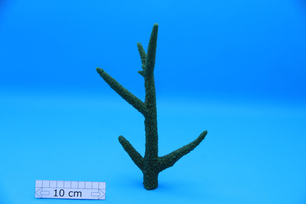 Artificial Acropora Formosa