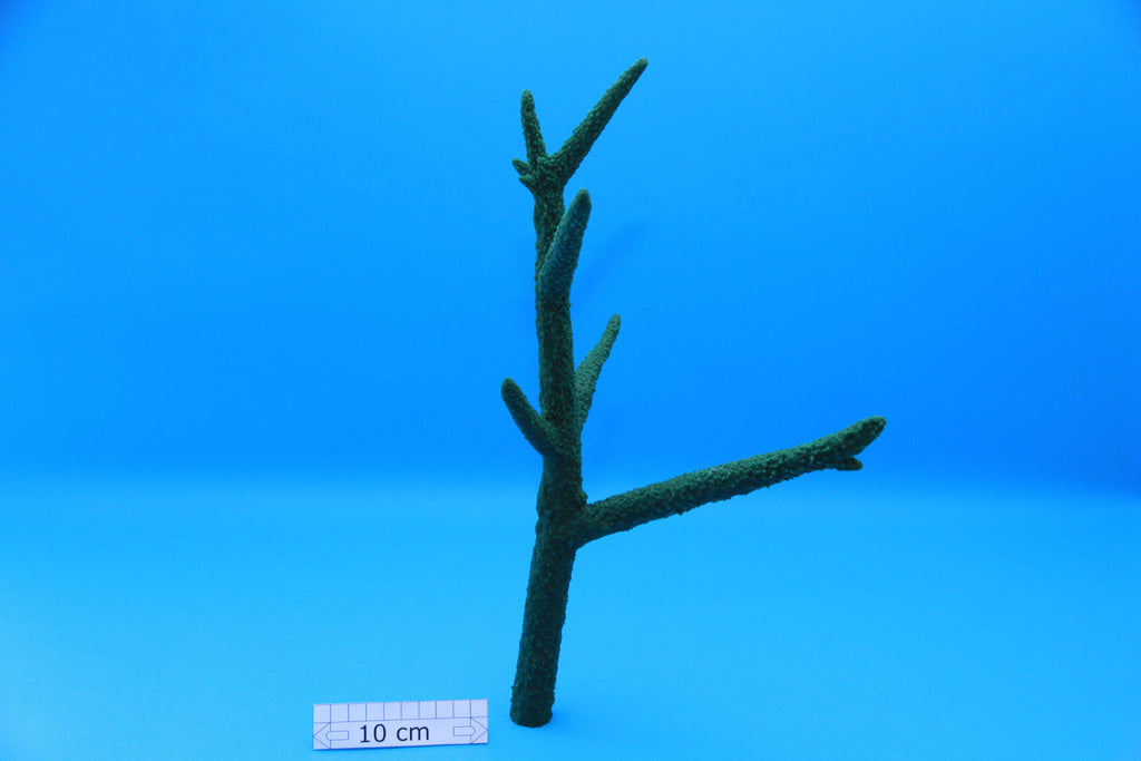 Artificial Acropora Formosa