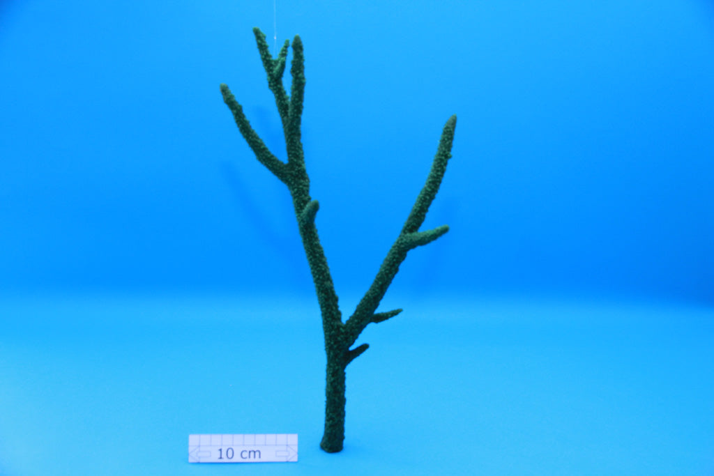 Artificial Acropora Formosa