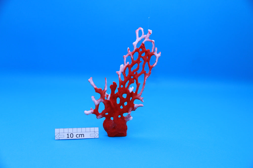 Artificial Millepora