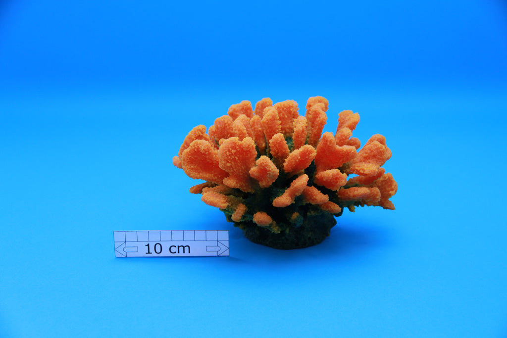 Artificial Stylophora