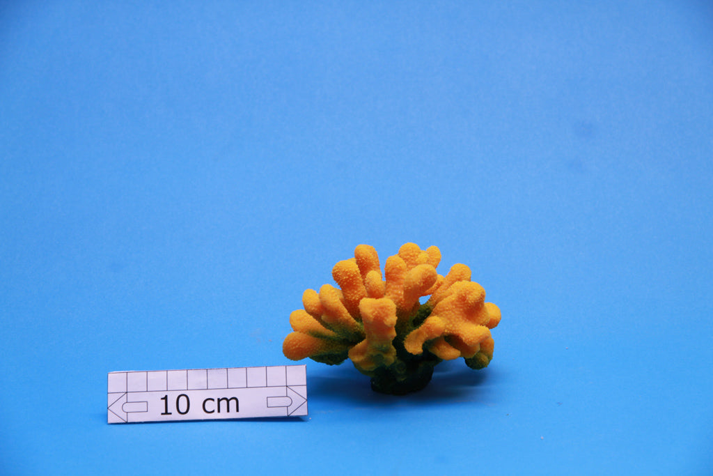 Artificial Stylophora