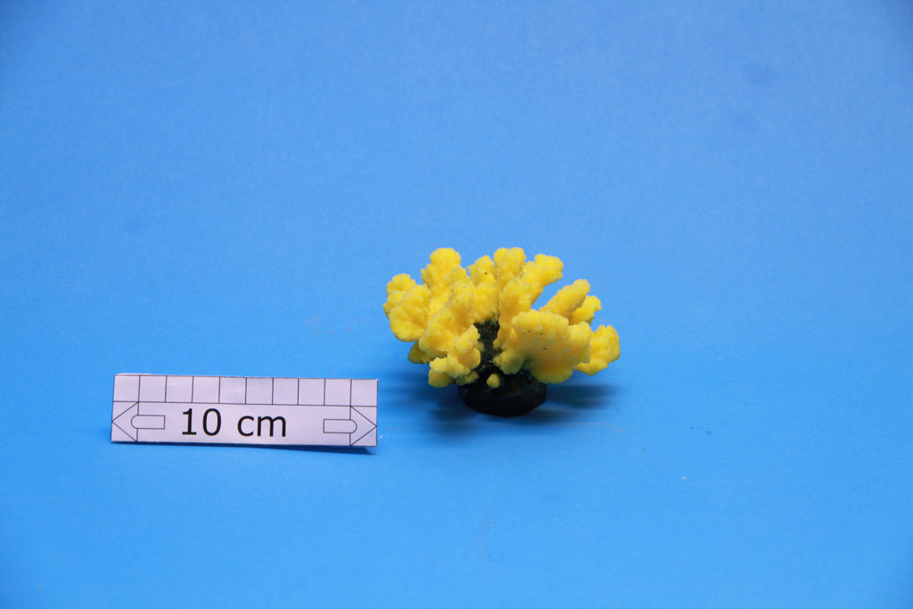 Artificial Stylophora