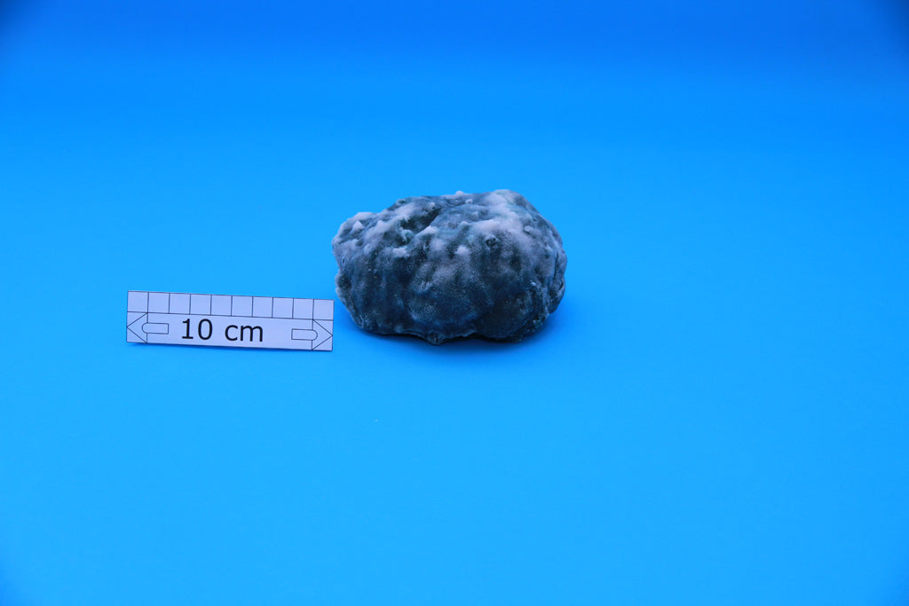 Artificial Porites