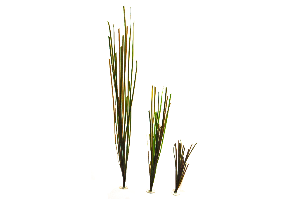 Artificial Eelgrass