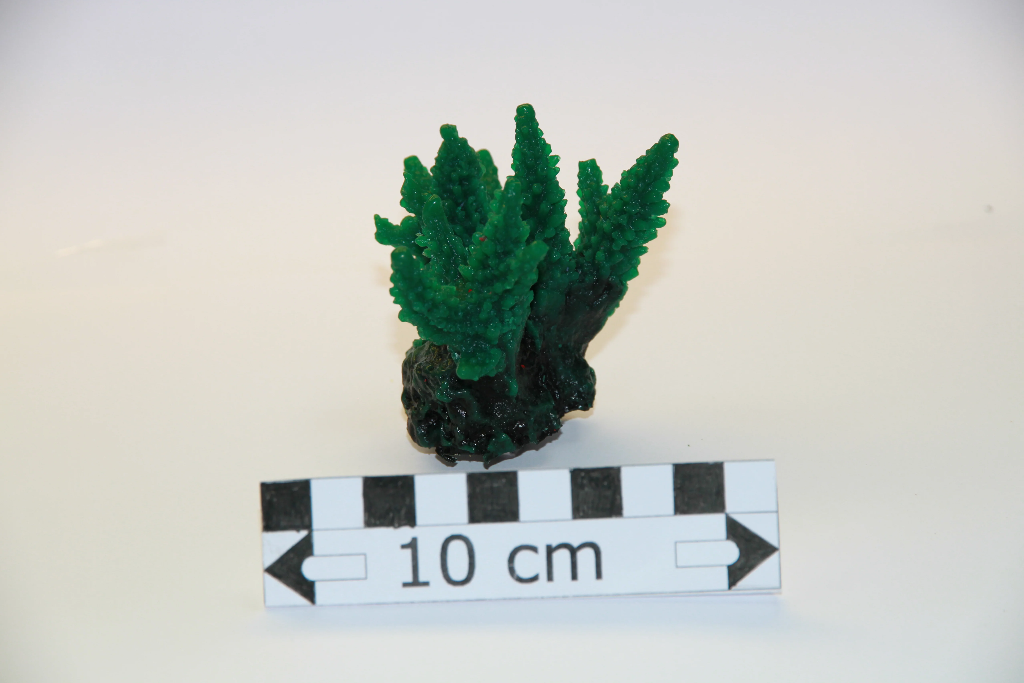 Artificial Green Acropora Secale 