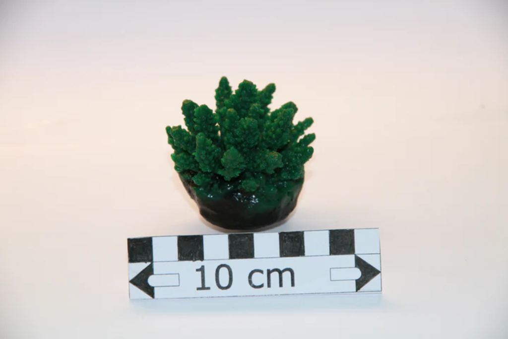 Artificial Green Acropora Polystroma