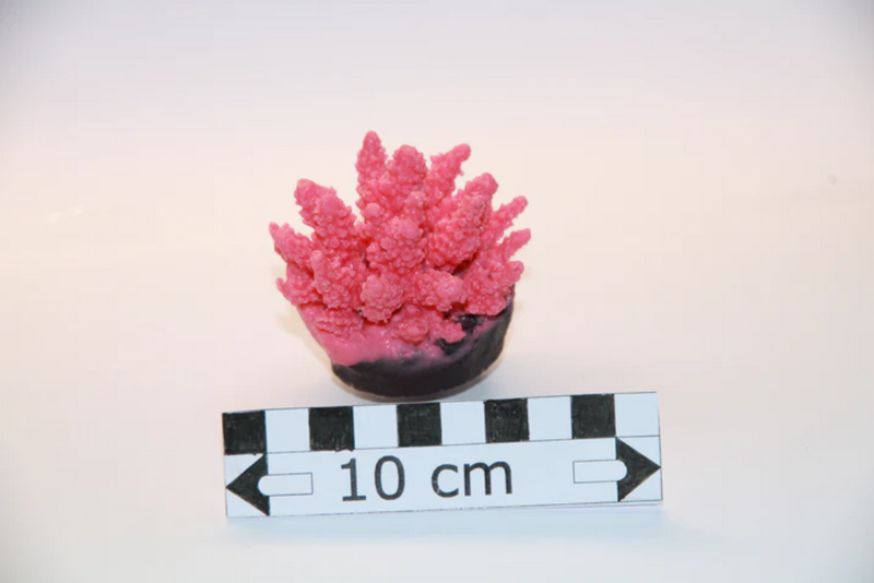 Artificial Pink Acropora Polystroma