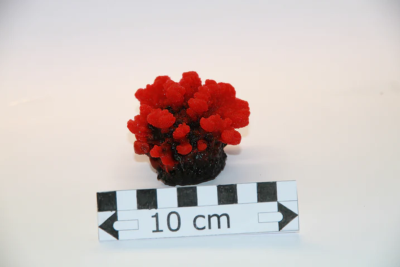 Artificial Red Stylopora