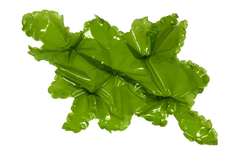 Artificial large Sea Lettuce