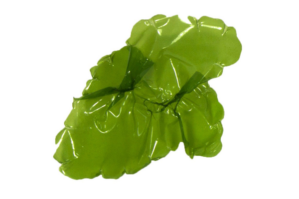 Artificial small Sea Lettuce